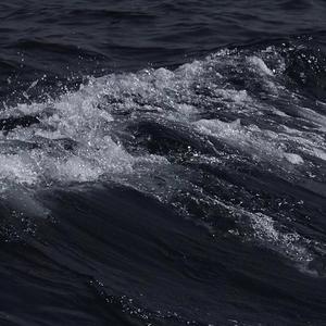 91福利免费视频
